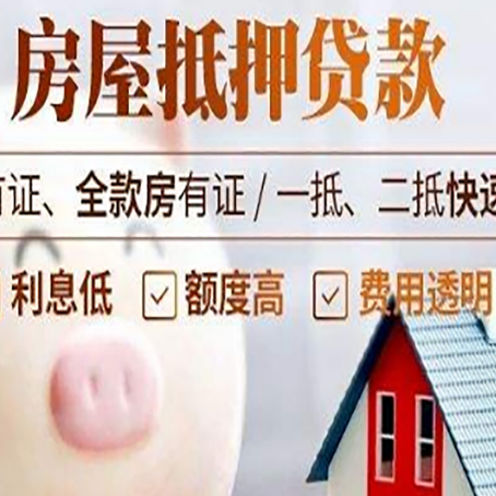 桃源贷款助贷公司新渝启服成立时间久